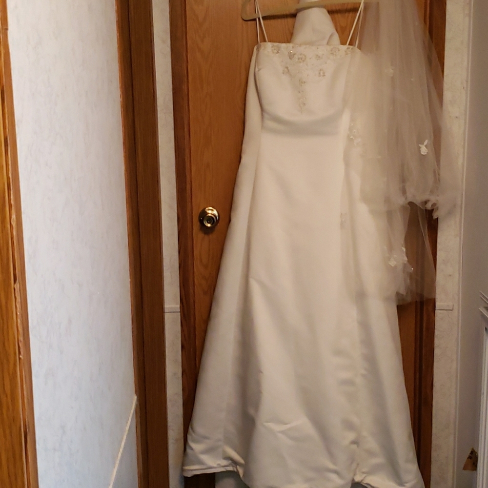 Beautiful Wedding Dress with Vail